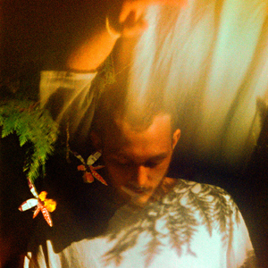 无码国模国产在线无码
